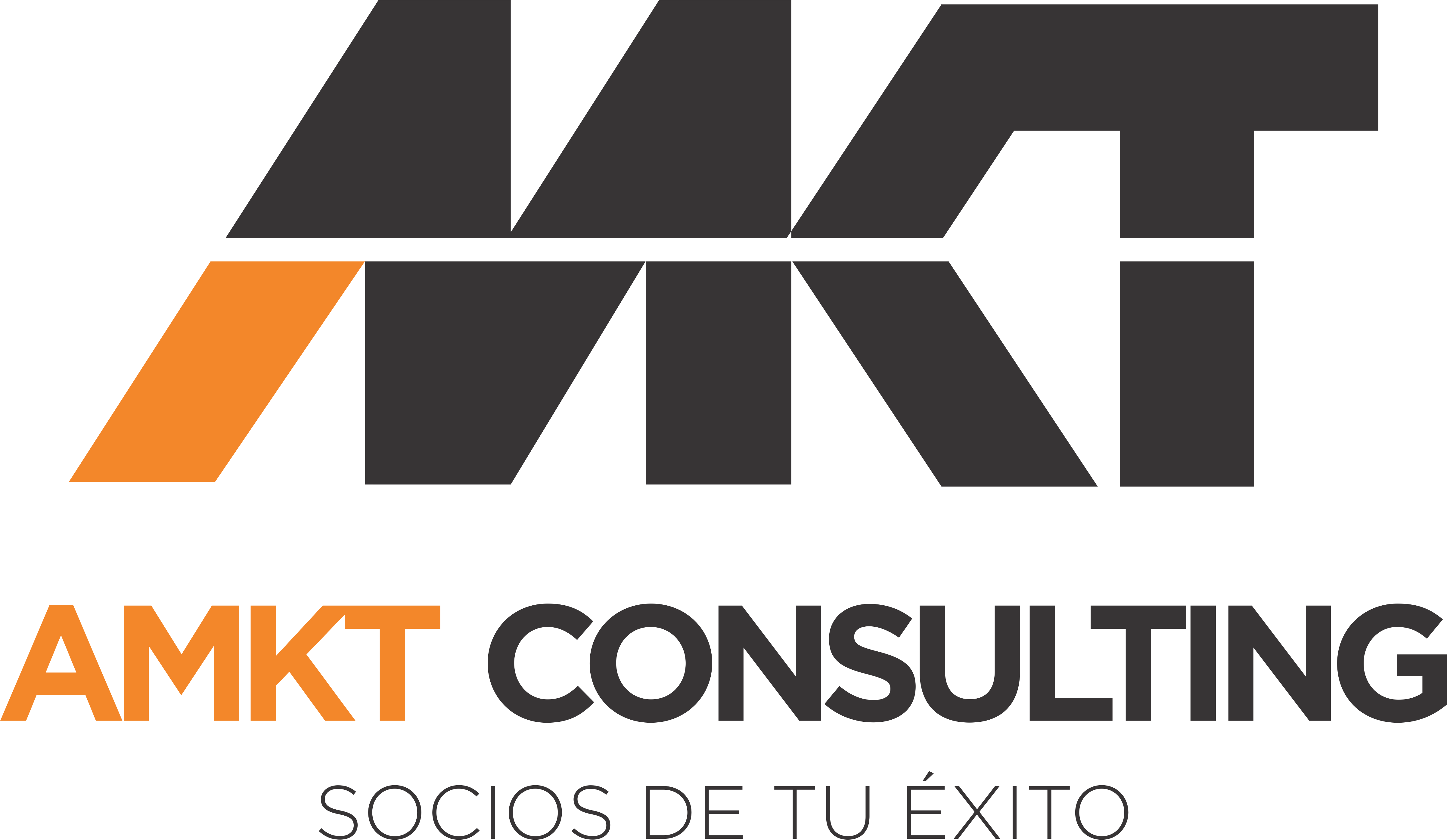 Logo: Info AMKT Consulting